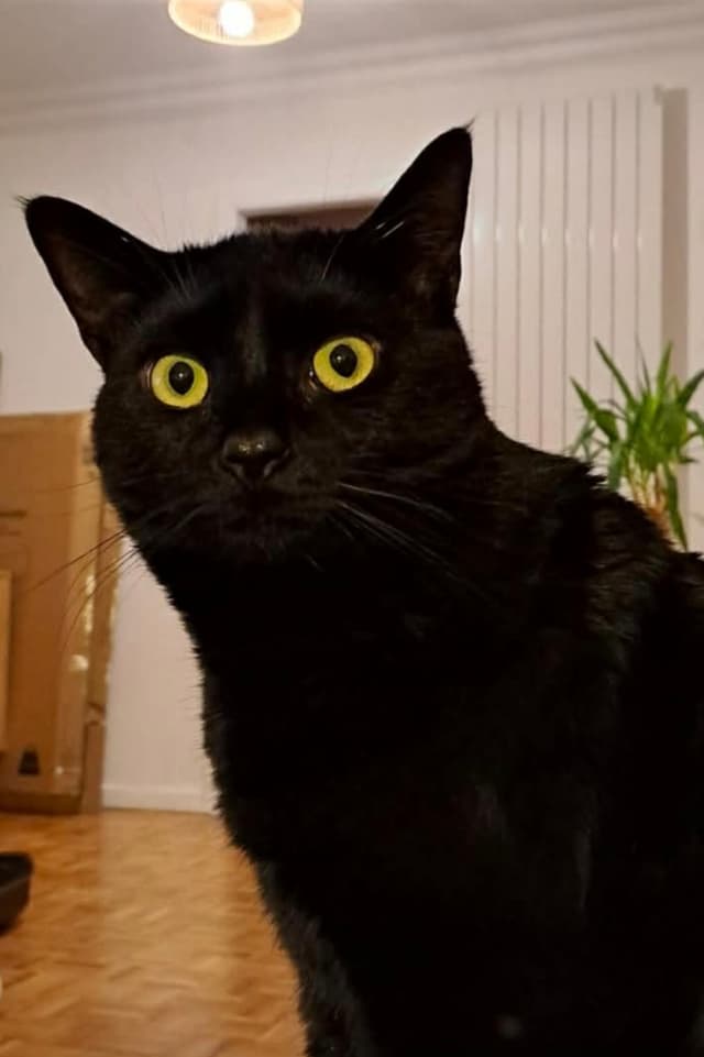 Salem