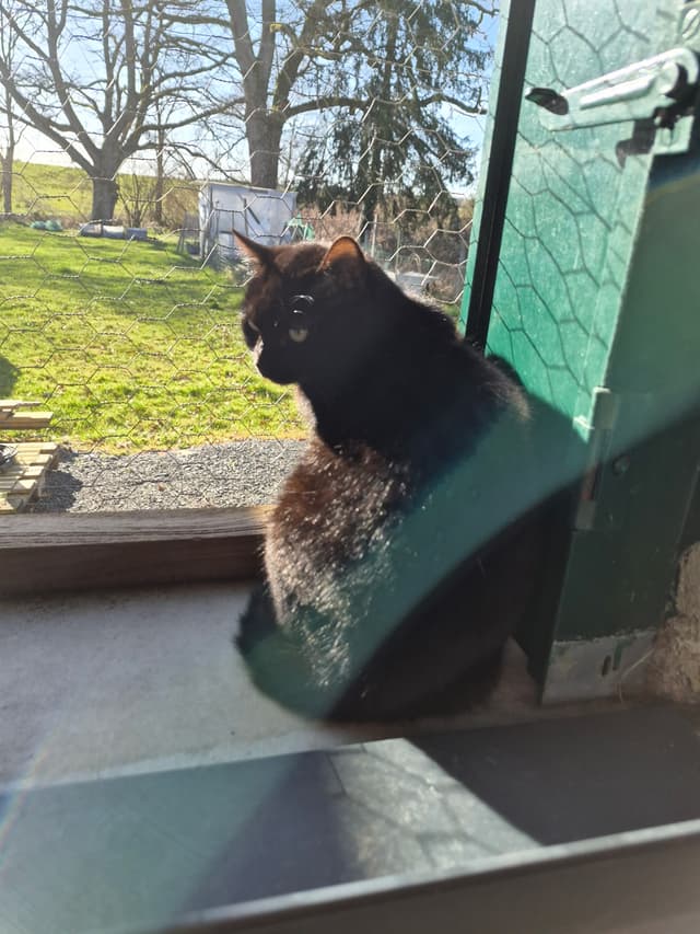 MINETTE