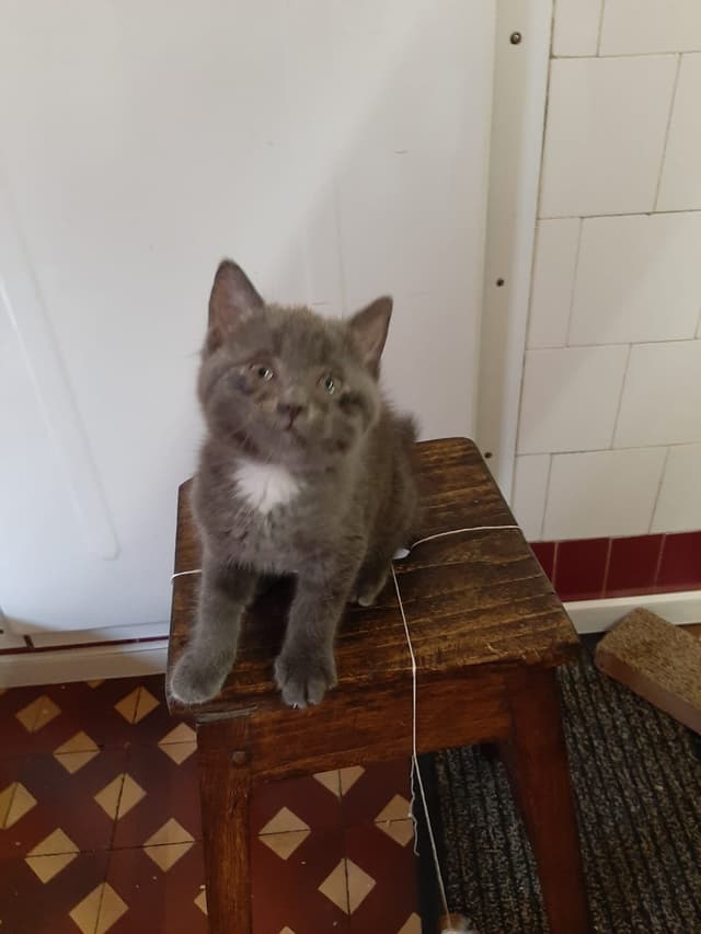 emile