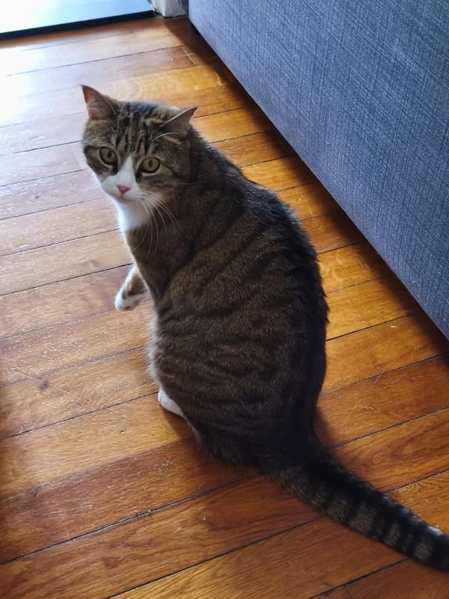 zoe
