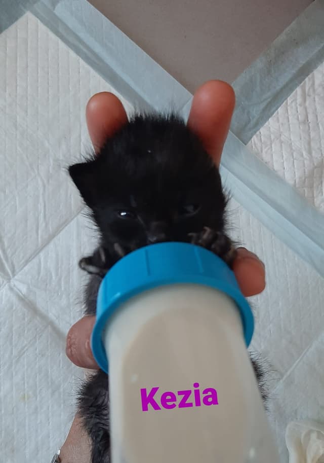 kezia